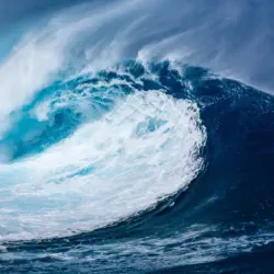 Catch the Wave